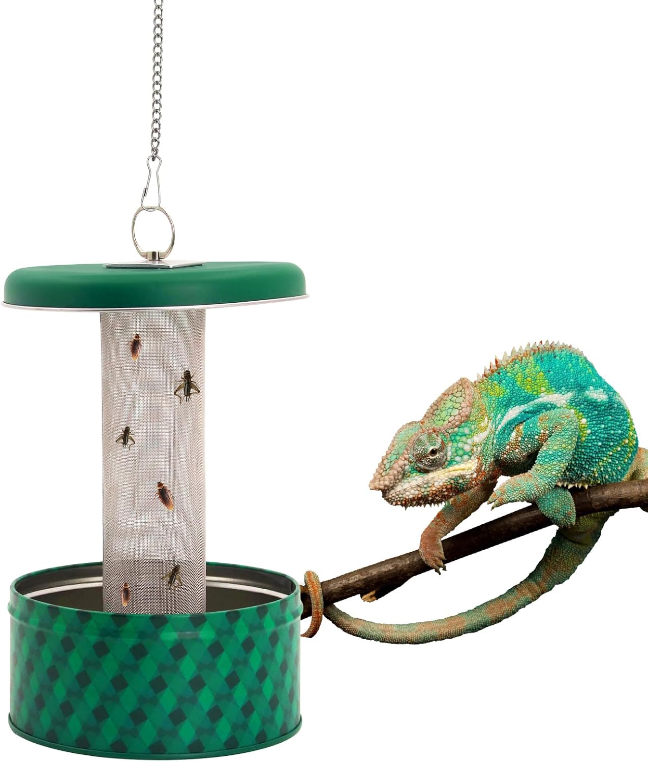 Water Dish Reptile - Кормушка для бородатого дракона, чаша для