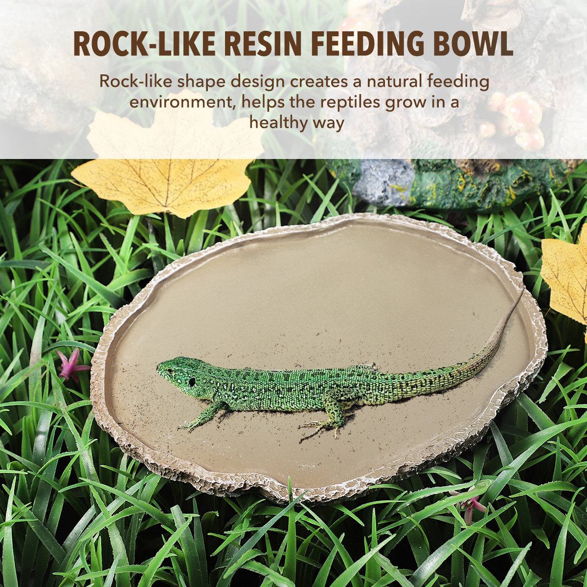 Прочная миска для кормления ре – обзор и цена Water Dish Reptile