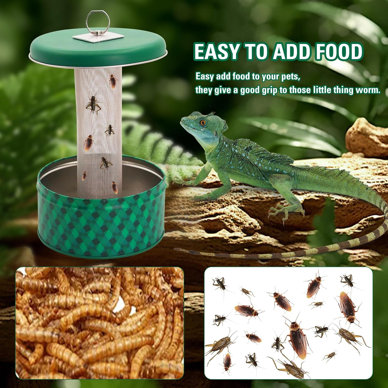 Кормушка для бородатого дракон – обзор и цена Water Dish Reptile